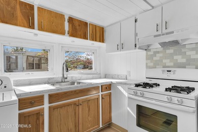 Welcome to Homestead Run! A 55+ community with a salt water pool - photo 6