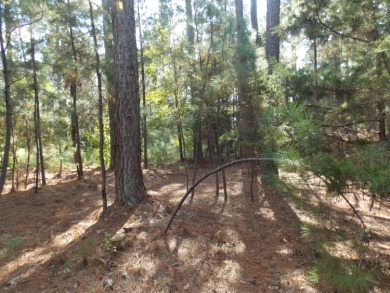 Strom Thurmond / Clarks Hill Lake Lot For Sale in Lincolnton Georgia