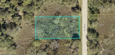 Lehigh Acres Area Lot For Sale in Lehigh Acres Florida