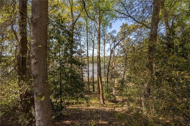 Rarely does a property offer this combination of over 3 acres - photo 38