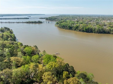 Rarely does a property offer this combination of over 3 acres - photo 48