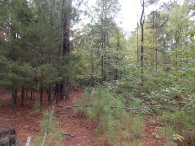 Strom Thurmond / Clarks Hill Lake Acreage For Sale in Lincolnton Georgia