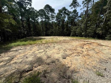 Lake Sam Rayburn  Lot For Sale in Brookeland Texas