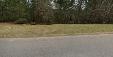 Spaulding Lake Lot Sale Pending in Aiken South Carolina