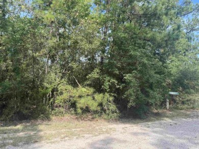 Lake Lot For Sale in Brookeland, Texas