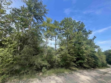 Lake Sam Rayburn  Lot For Sale in Brookeland Texas