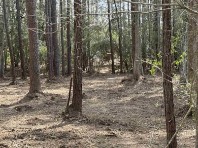 Lake Sam Rayburn  Lot For Sale in Brookeland Texas