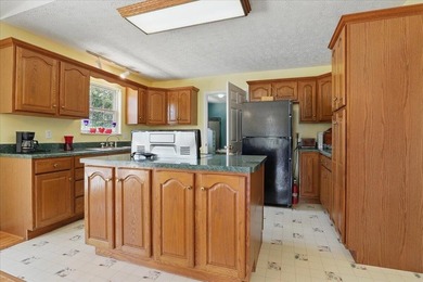 Douglas Lakefront home with gentle sloping property, incredible - photo 8