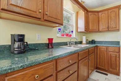 Douglas Lakefront home with gentle sloping property, incredible - photo 9