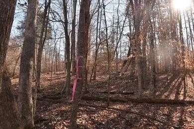 39.72 acres of unrestricted land, close to Lake Cumberland - photo 3