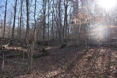 39.72 acres of unrestricted land, close to Lake Cumberland - photo 4