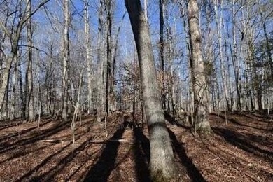 39.72 acres of unrestricted land, close to Lake Cumberland - photo 5