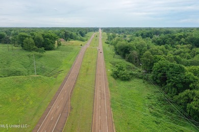 93+/- acres with long frontage on Hwy 302 (Goodman Rd) and also - photo 2