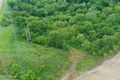 93+/- acres with long frontage on Hwy 302 (Goodman Rd) and also - photo 4