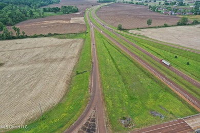 93+/- acres with long frontage on Hwy 302 (Goodman Rd) and also - photo 6