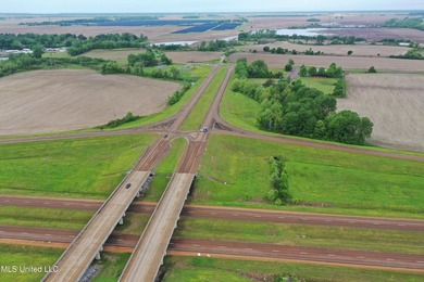 93+/- acres with long frontage on Hwy 302 (Goodman Rd) and also - photo 7