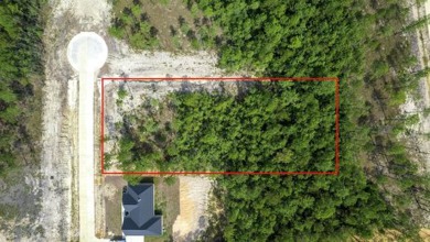 Lake Lot For Sale in Brookeland, Texas