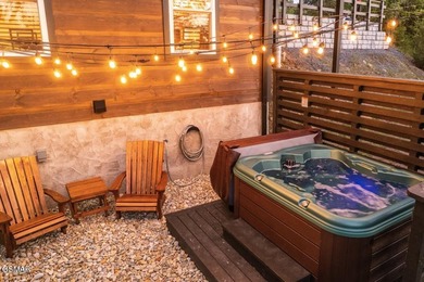 100+  reviews with 4.95 rating!!! 2025 Gross Rental Income @ $60 - photo 8