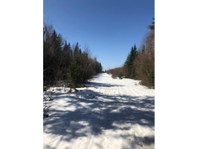 Lake Lot For Sale in Dallas Plt, Maine