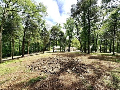The current owner has done a spectacular job of clearing out the - photo 3