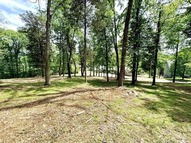 The current owner has done a spectacular job of clearing out the - photo 5