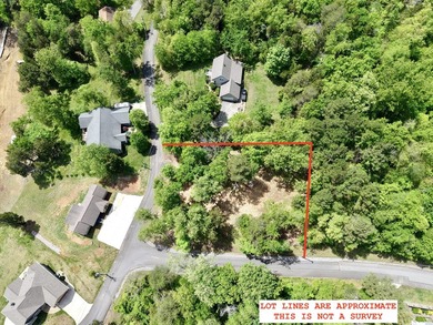 The current owner has done a spectacular job of clearing out the - photo 6