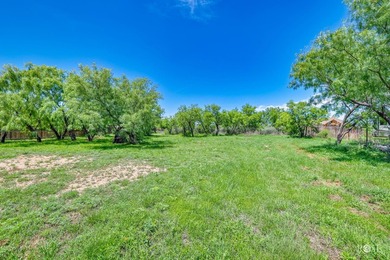 Welcome to Buffalo Heights-enjoy the charm of West Texas living - photo 29