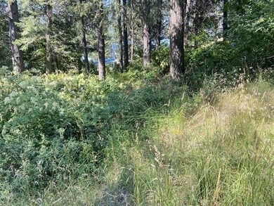 Deer Lake Lot Sale Pending in Loon Lake Washington