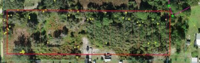 East Lake Tohopekaliga Acreage For Sale in ST Cloud Florida