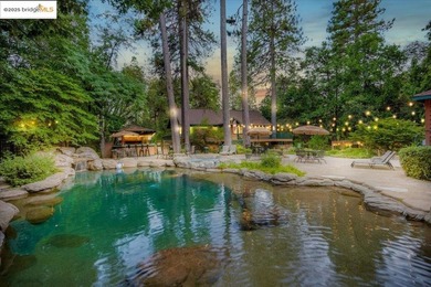 Lazy Z Resort - 31 Acres of Mountain Paradise Just minutes from - photo 4
