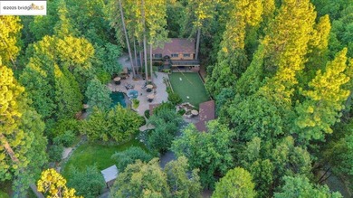 Lazy Z Resort - 31 Acres of Mountain Paradise Just minutes from - photo 6