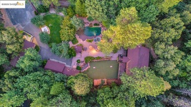 Lazy Z Resort - 31 Acres of Mountain Paradise Just minutes from - photo 7