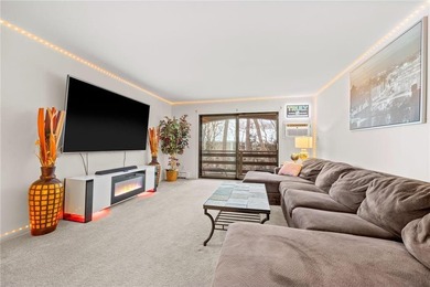Lake Minnetonka Condo For Sale in Mound Minnesota