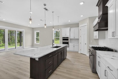 Construction complete on this one story 4 Bedroom, 3 bath home - photo 19