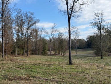 (private lake, pond, creek) Acreage For Sale in Vicksburg Mississippi