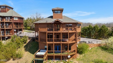 Stunning Mountain & Lake View Retreat Near Douglas Lake: Proven - photo 2