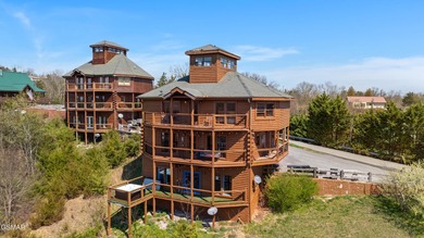 Stunning Mountain & Lake View Retreat Near Douglas Lake: Proven - photo 3