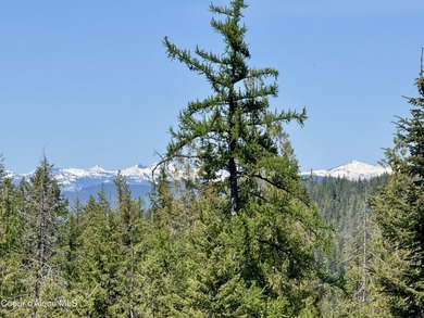 Lake Lot For Sale in Sandpoint, Idaho