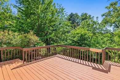 Situated on over an acre of land with views of the Mississippi - photo 51