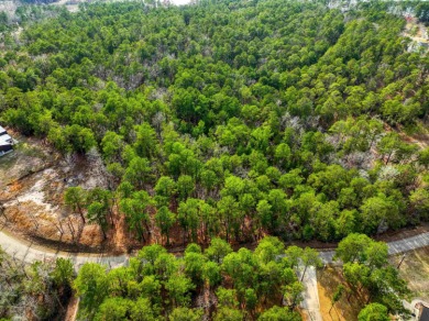 Lake Sam Rayburn  Lot For Sale in Brookeland Texas