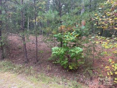 Come see this gorgeous level building lot in the gated community - photo 2