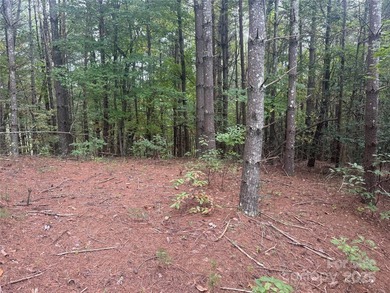 Come see this gorgeous level building lot in the gated community - photo 3