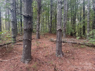 Come see this gorgeous level building lot in the gated community - photo 4