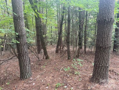 Come see this gorgeous level building lot in the gated community - photo 6