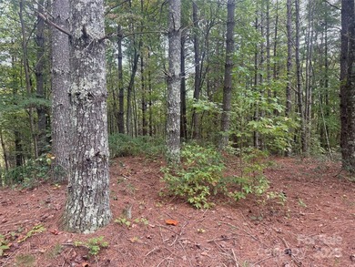 Come see this gorgeous level building lot in the gated community - photo 9