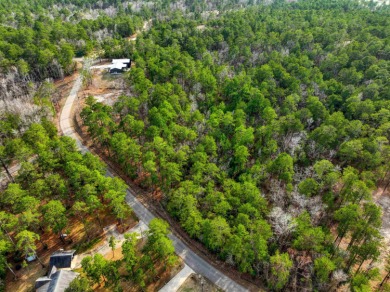 Lake Sam Rayburn  Lot For Sale in Brookeland Texas