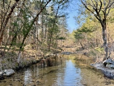 262+/- acre & country home for sale with long frontage on the - photo 6