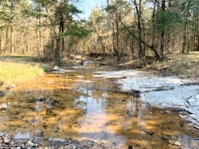 262+/- acre & country home for sale with long frontage on the - photo 8