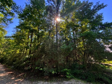 Lake Sam Rayburn  Lot For Sale in Brookeland Texas