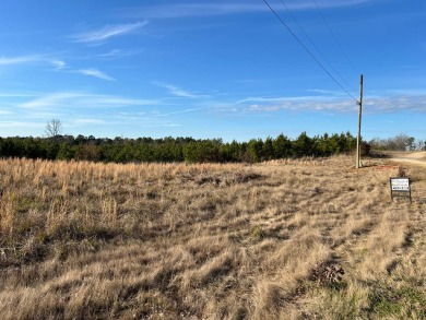 Lake Lot For Sale in Many, Louisiana